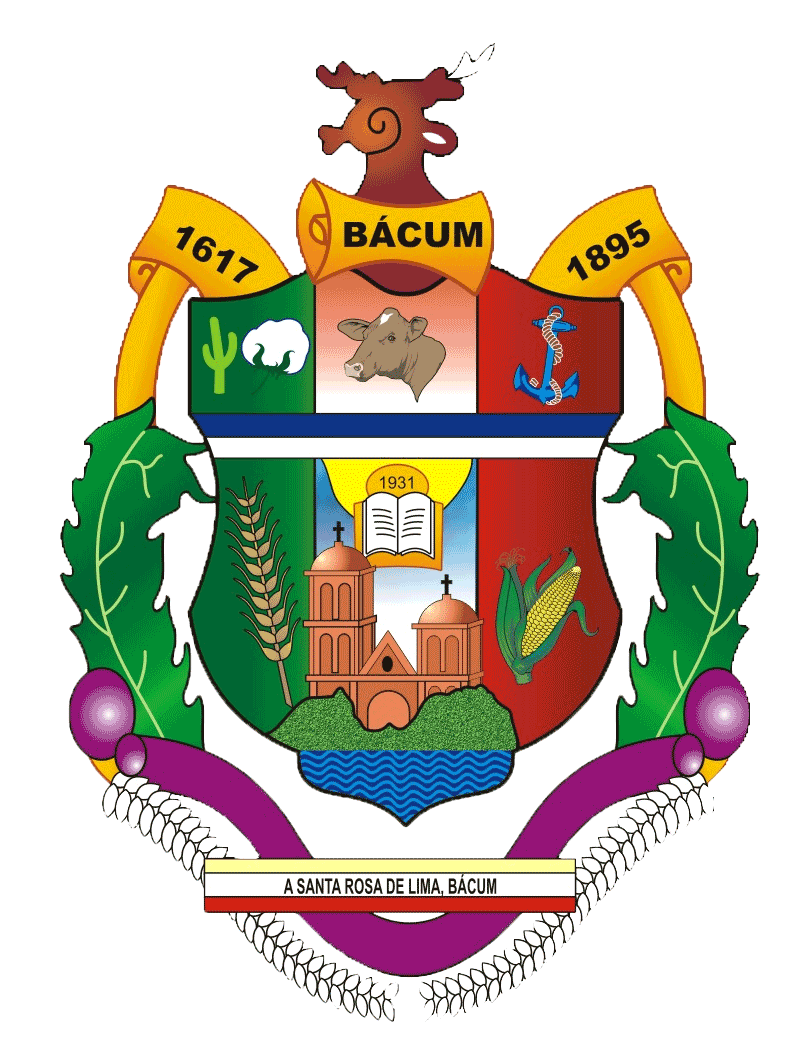 Municipio de Bacum